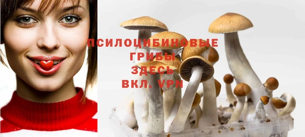 2c-b Абаза
