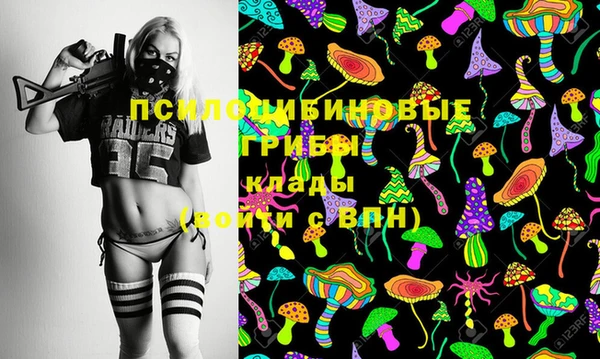ГАЛЛЮЦИНОГЕННЫЕ ГРИБЫ Абдулино
